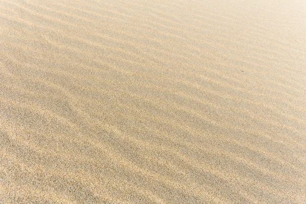 물결 모양의 모래 — 스톡 사진