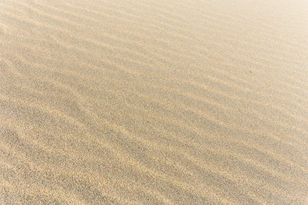 Sand texture — Stock Photo, Image