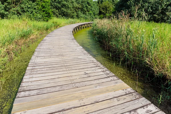 Pont en bois dans la forêt — Photo