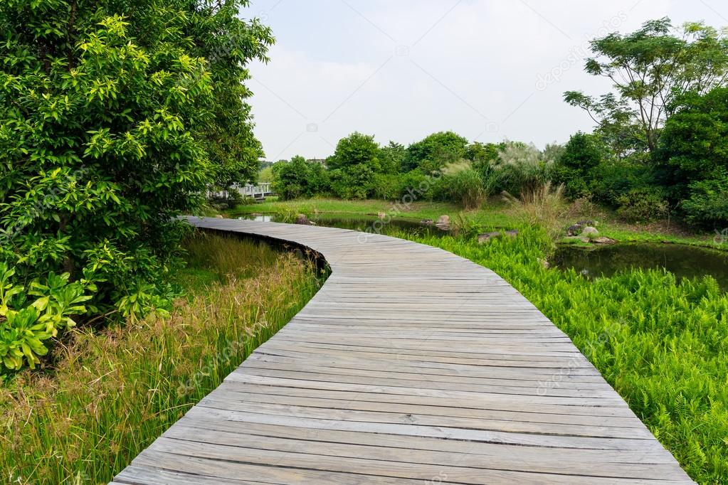 Wooden bridge in forest