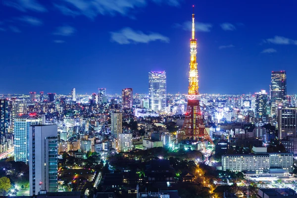 Beau paysage urbain nocturne de Tokyo — Photo