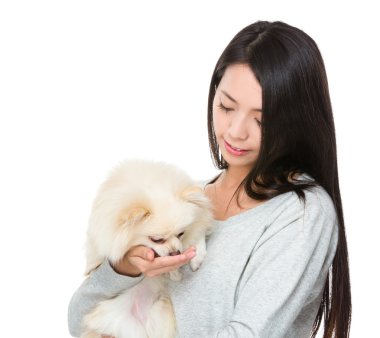 Pomeranya köpeği besleyen kadın