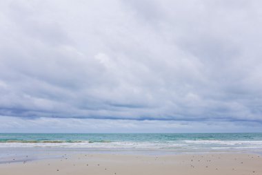 beach with blue sea and cloudy sky