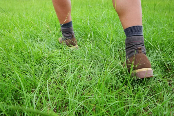 Scarpe da trekking su erba — Foto Stock