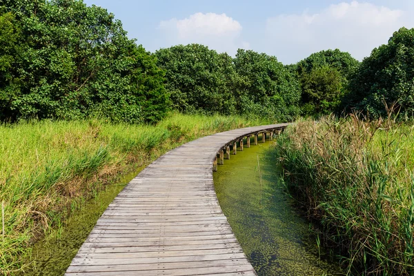 Passerelle en bois sur la rivière — Photo