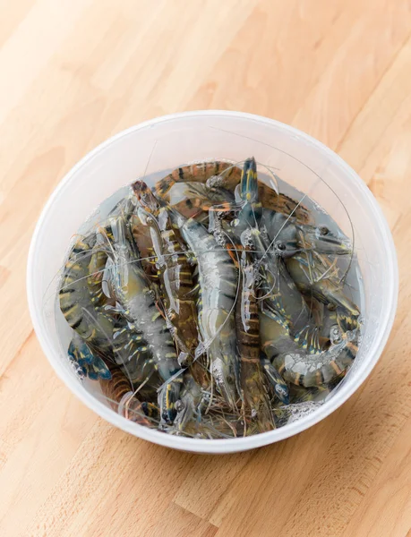 Fresh shrimps in plastic container — Stok fotoğraf