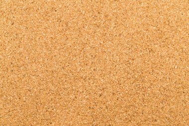 mantar pano arka plan