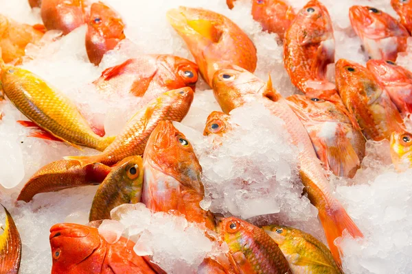 Fresh fish in market — Stock Photo, Image