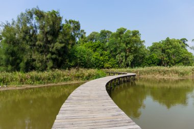 ahşap yürüyüş yolu
