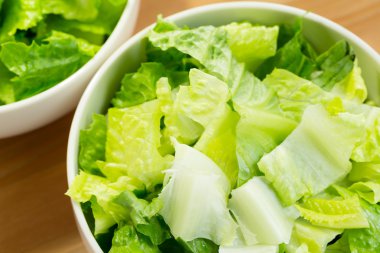 Taze canlı yeşil salata