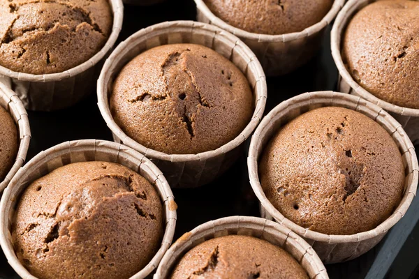 Chocolade muffins gebak — Stockfoto