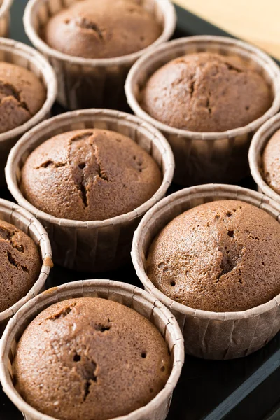 Chocolade muffins gebak — Stockfoto