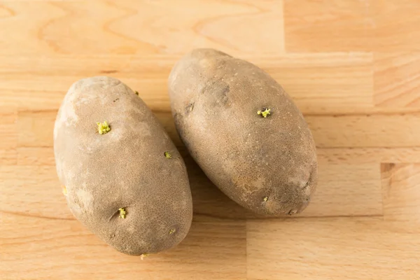 Two germinating potatoes — Stock Photo, Image