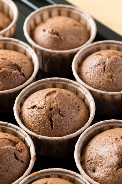 Σπιτικό muffins σοκολάτας — Φωτογραφία Αρχείου