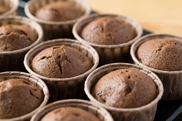 Chocolade chip muffins — Stockfoto