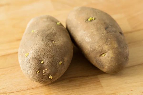 Potatoes with sprouts — Stock Photo, Image