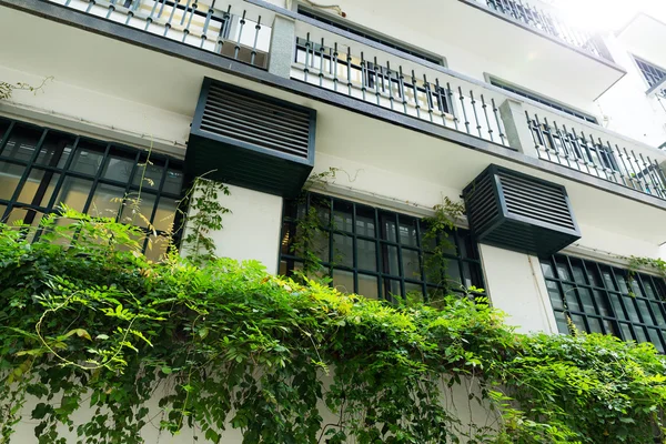 Balcons de style classique avec plante verte — Photo