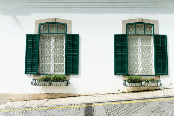 House plants on the balcony besides road — Stock Photo, Image