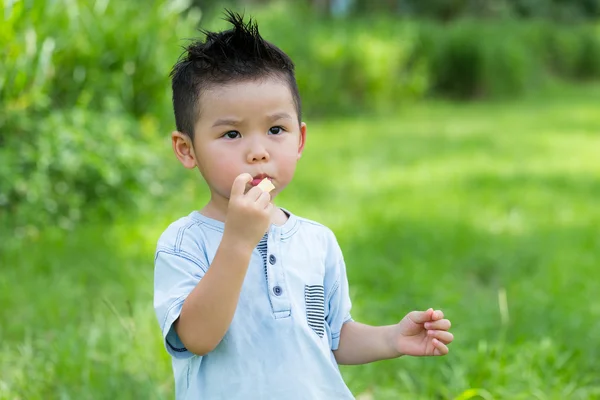 Schattige Aziatische kleine jongen — Stockfoto