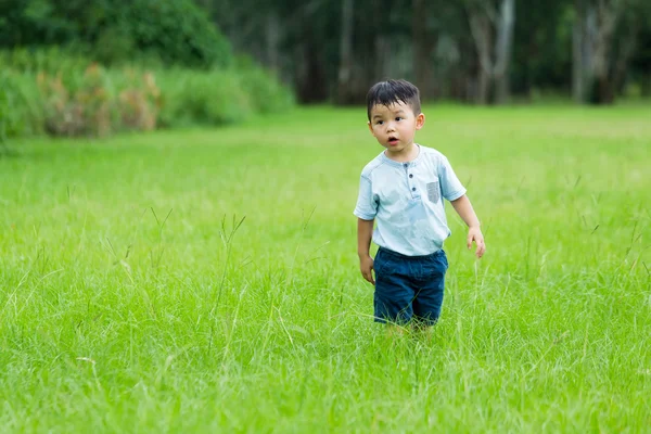 Carino asiatico piccolo ragazzo — Foto Stock