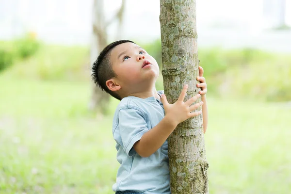 Cute Asian little boy Royalty Free Stock Images