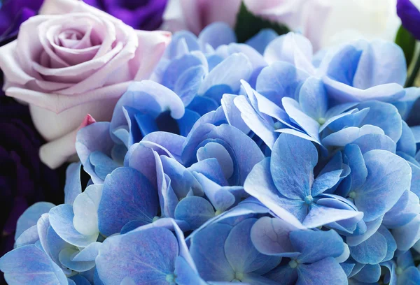 Ortensia e fiori di rosa da vicino — Foto Stock