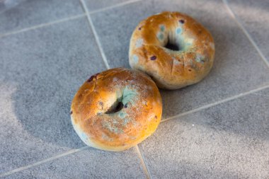 Görünür mantarlı küflü simit.