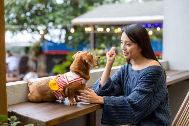Dachshund köpeğiyle evcil hayvan dostu kafede oynayan kadın.