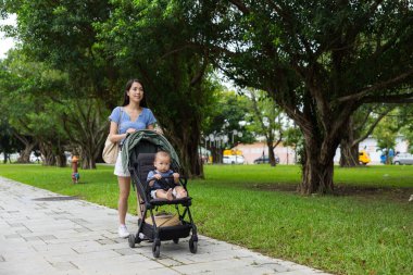 Anne parkta yürürken bebek arabasını it.
