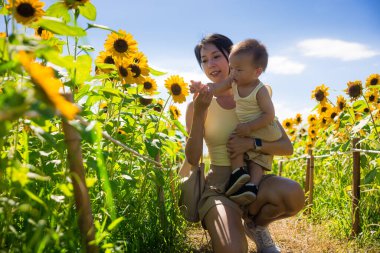 Anne gün boyu bebekle birlikte ayçiçeği bahçesinde eğleniyor.