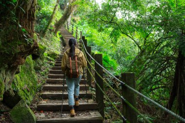 Yoğun ormanda yürüyüş yapan genç bir kadın.