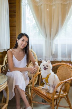 Kadın küçük beyaz Pomeranya köpeğini restorana götürüyor.