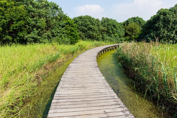 Chemin en bois dans la prairie de champ — Photo