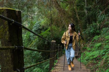 Güneşli bir günde orman yolunu keşfeden kadın yürüyüşçü.