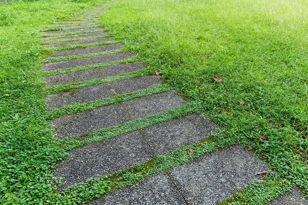 Stone way in green grass — Stock Photo, Image