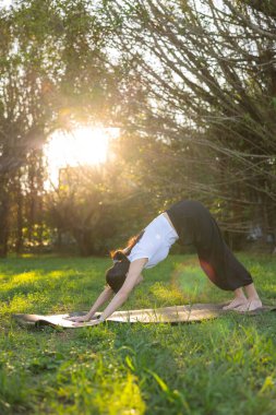 Yeşil parkta yoga egzersizi yapan bir kadın.