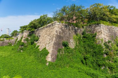Osaka Kalesi ile alga taret