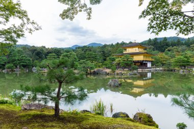 kinkakuji Tapınağı'nda altın köşk 