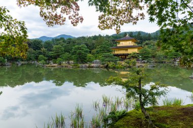 kinkakuji Tapınağı'nda altın köşk 
