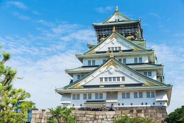 Výhledem na hrad Osaka v Japonsku — Stock fotografie