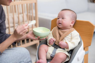 Anne oğlunu püre ile besliyor.