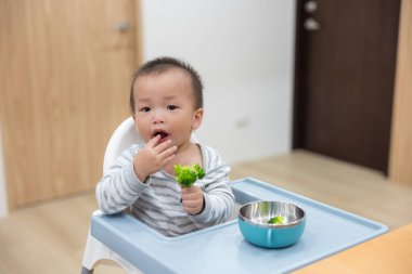 Bebek brokoli yiyor. Evde sağlıklı yemekler yiyor.