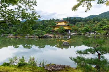 Kyoto altın köşk