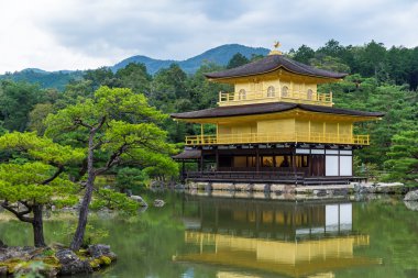 Kyoto altın köşk