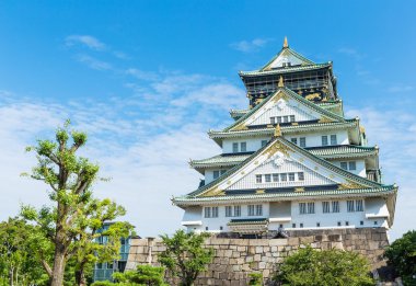 Japonya'nın Osaka kale Manzaralı