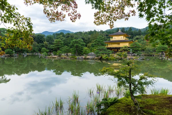 Pabellón de Oro en el Templo Kinkakuji — Foto de Stock