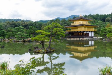 kinkakuji Tapınağı'nda altın köşk