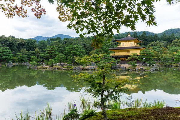 Gouden paviljoen op kinkakuji tempel — Stockfoto