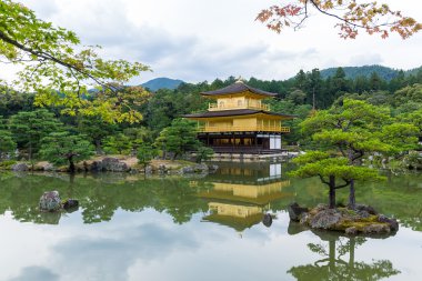 Kyoto altın köşk 