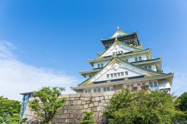 Japonya 'daki Osaka Kalesi 
